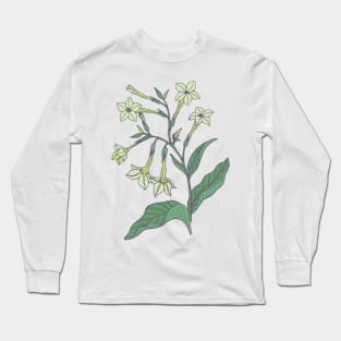 Jasmine tobacco floral pattern Long Sleeve T-Shirt